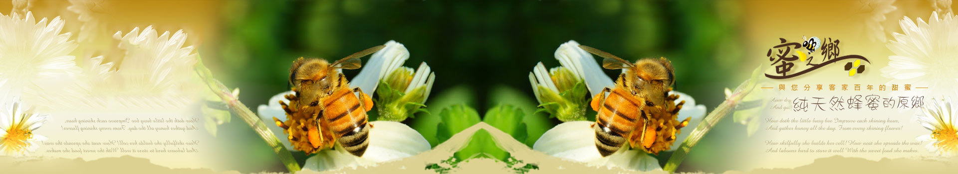 无锡君通科技服务有限公司